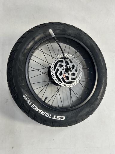 Rear wheel FLX+ (belt drive)